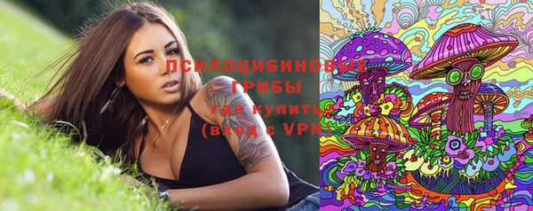 гидра Аркадак