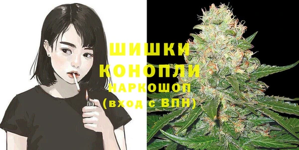 гидра Аркадак